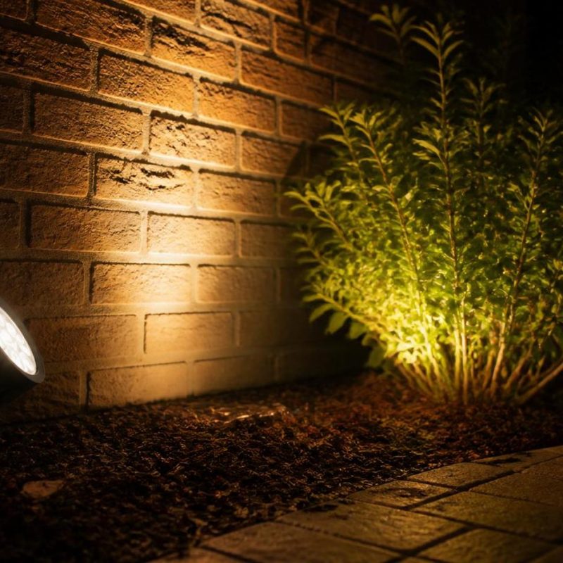 PAR LED 64 rent Ibiza ibiza rent lights